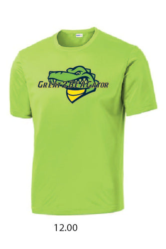 100% Polyester T-shirt